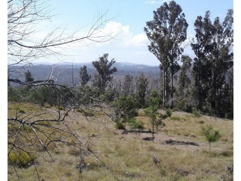 134 Drovers Rise, Carlton River TAS 7173