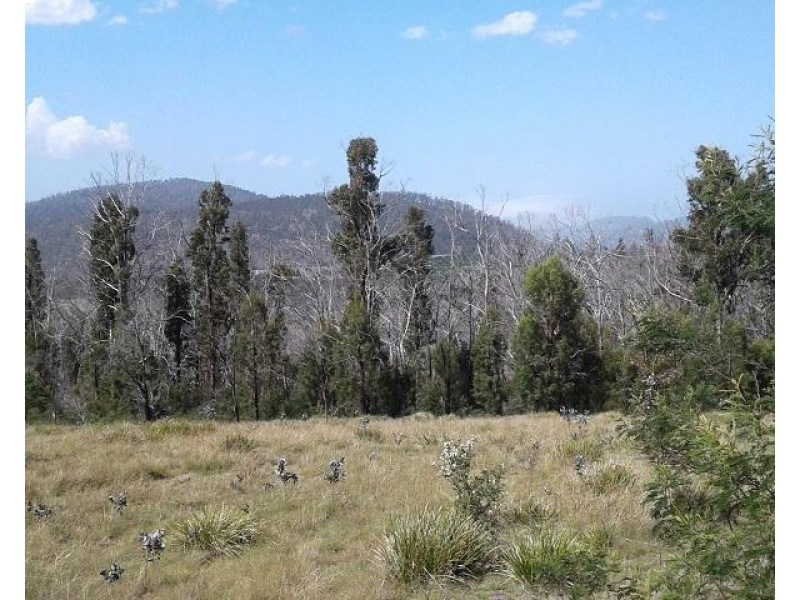 134 Drovers Rise, Carlton River TAS 7173