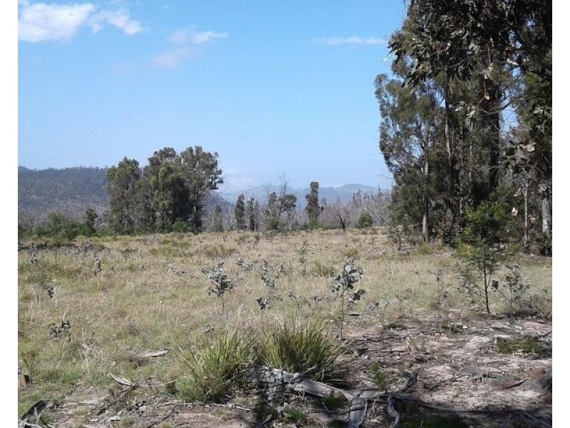 134 Drovers Rise, Carlton River TAS 7173