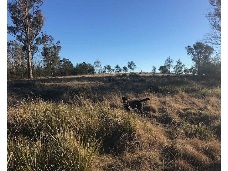 134 Drovers Rise, Carlton River TAS 7173