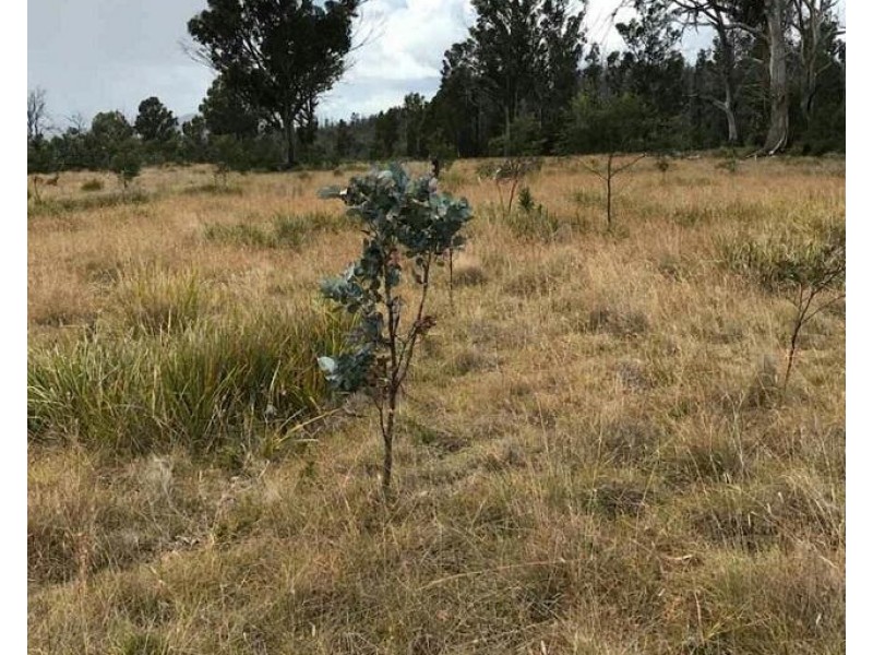 134 Drovers Rise, Carlton River TAS 7173