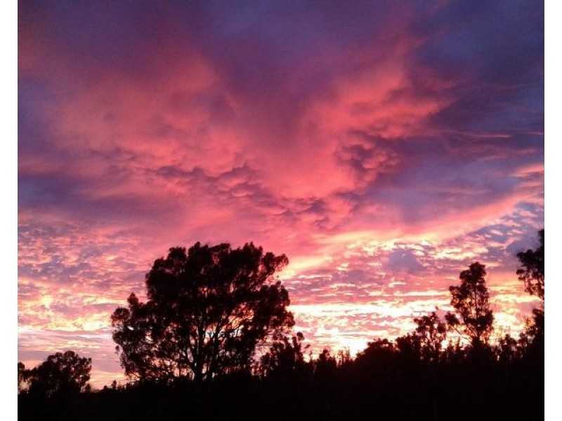 134 Drovers Rise, Carlton River TAS 7173