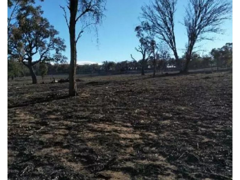 1890 Kingstown Road, Balala NSW 2358