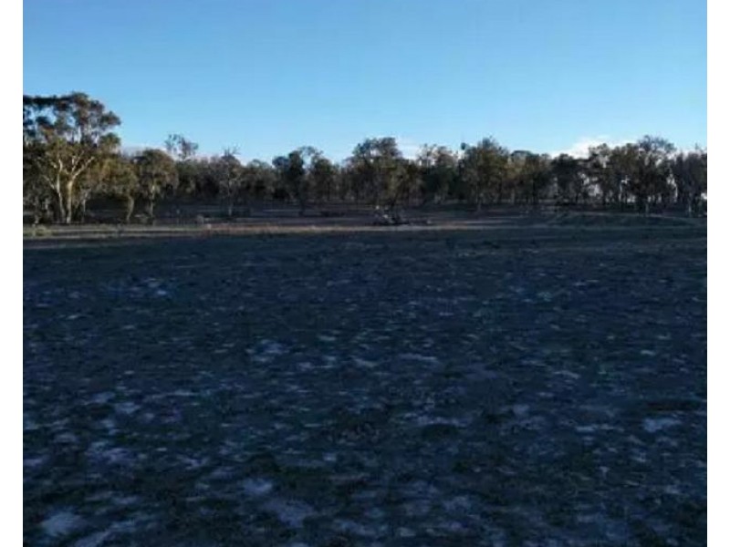 1890 Kingstown Road, Balala NSW 2358