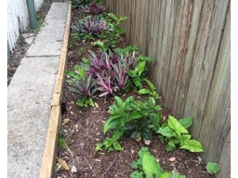 19 Fifth Avenue, Kedron QLD 4031