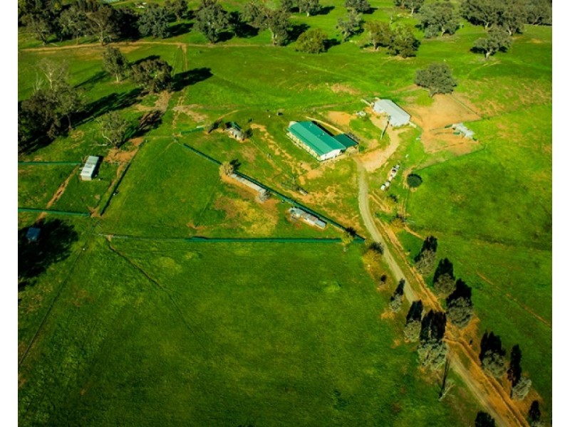 190 Turners Lane, Cootamundra NSW 2590