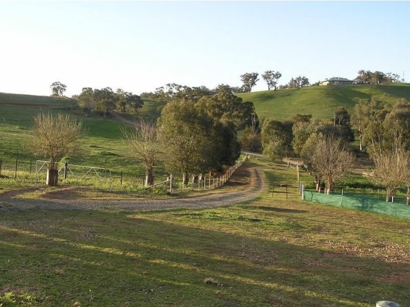 190 Turners Lane, Cootamundra NSW 2590
