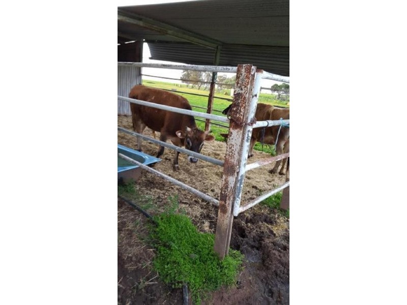 * Hodgson Road, Swanwater VIC 3477