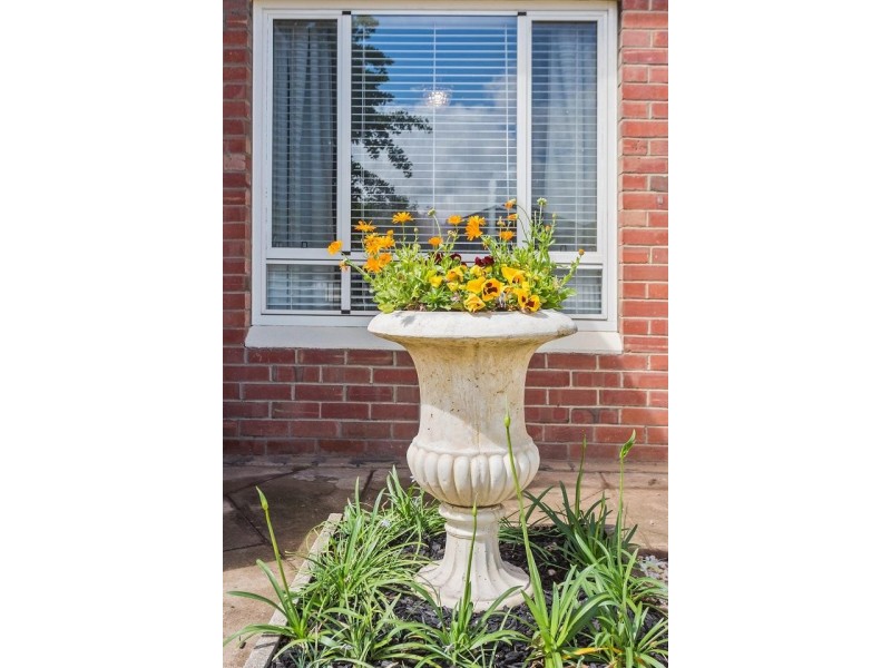 50 Minns Street East, Seaton SA 5023