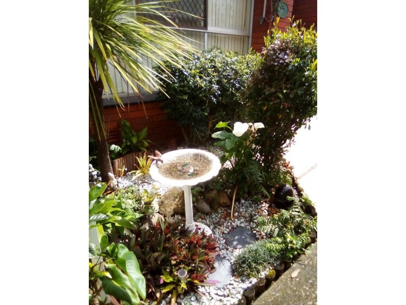 20/29-31 Corella Avenue, Kirrawee NSW 2232