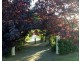 1/1 Raymond Walk, Toorak Gardens SA 5065