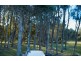 43 Hearnes Lake Road, Woolgoolga NSW 2456