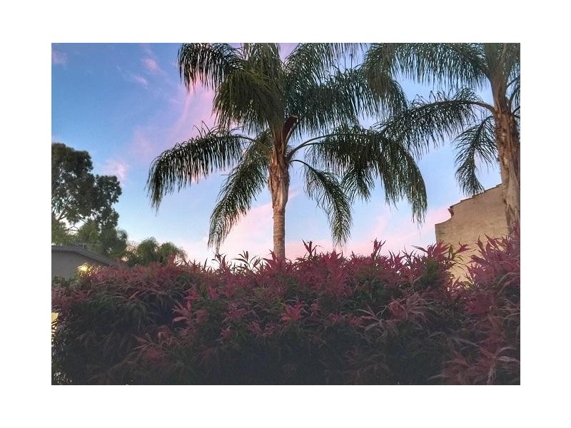 35 Sussex Street, North Adelaide SA 5006