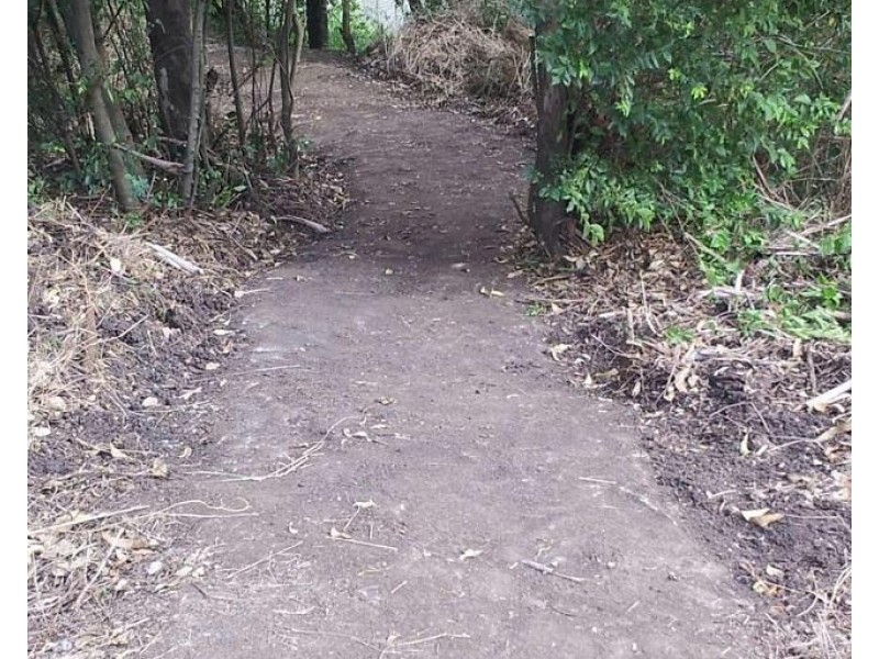 23 Sydney Street, Brassall QLD 4305