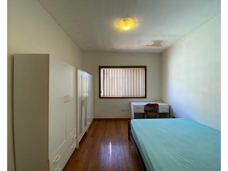 16 Viking Street, Campsie NSW 2194