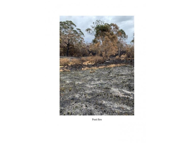 Lot 107 Thrush Street, Bawley Point NSW 2539