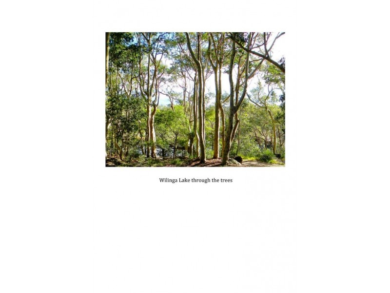 Lot 107 Thrush Street, Bawley Point NSW 2539