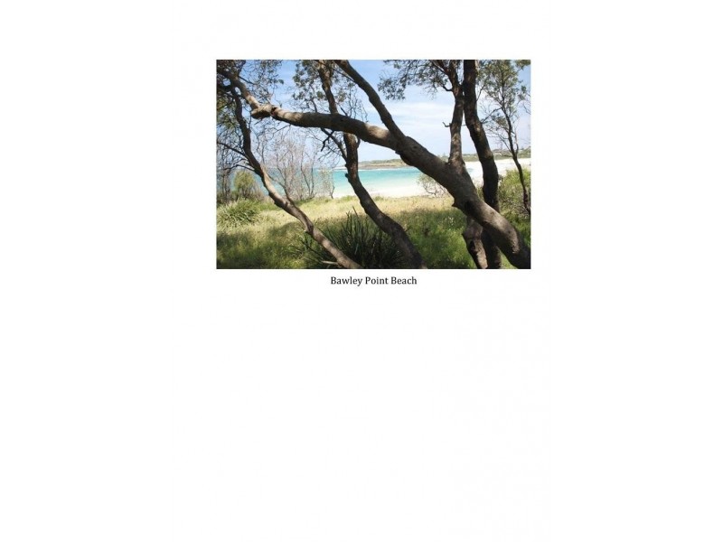 Lot 107 Thrush Street, Bawley Point NSW 2539