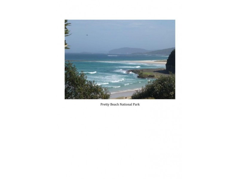 Lot 107 Thrush Street, Bawley Point NSW 2539