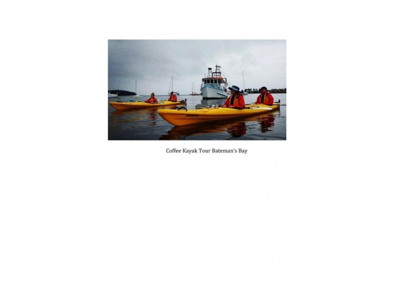 Lot 107 Thrush Street, Bawley Point NSW 2539