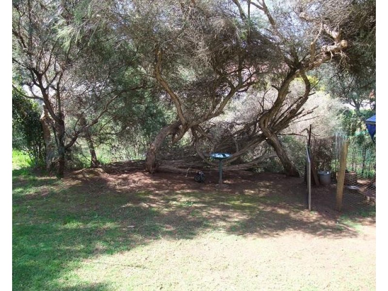 /5 Hester Street, Bridgetown WA 6255