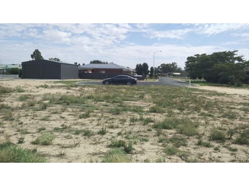 20 Briggs Court, Barham NSW 2732