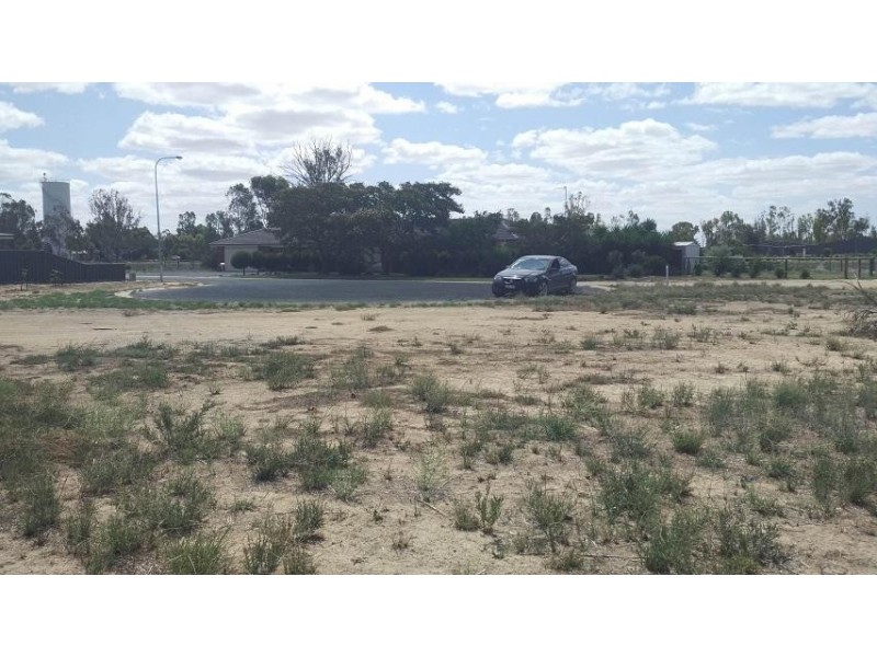 20 Briggs Court, Barham NSW 2732