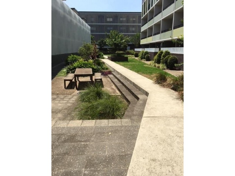 15/201 Barker Street, Randwick NSW 2031