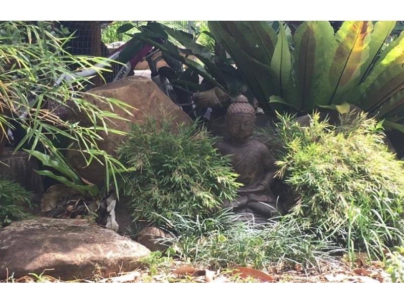 Binna Burra NSW 2479