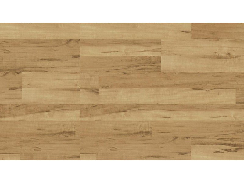 13/44-48 Isabella Street, North Parramatta NSW 2151