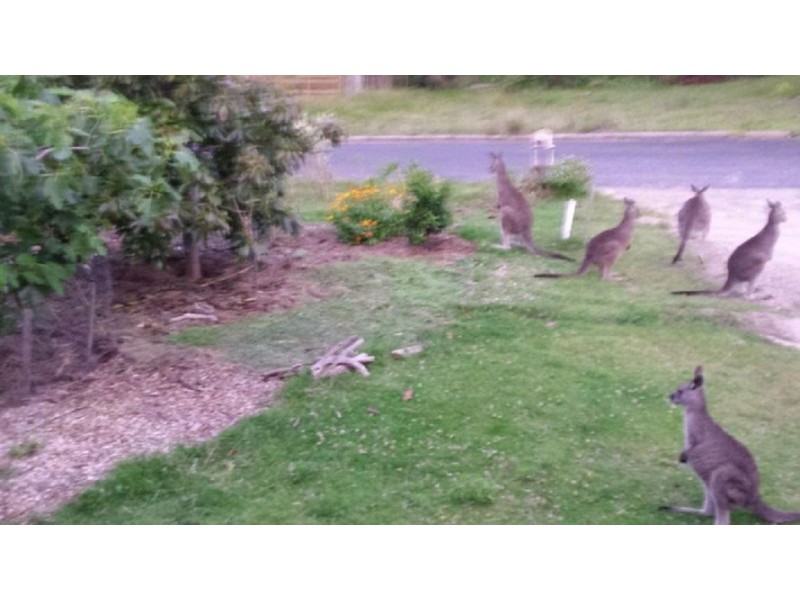 Pambula Beach NSW 2549
