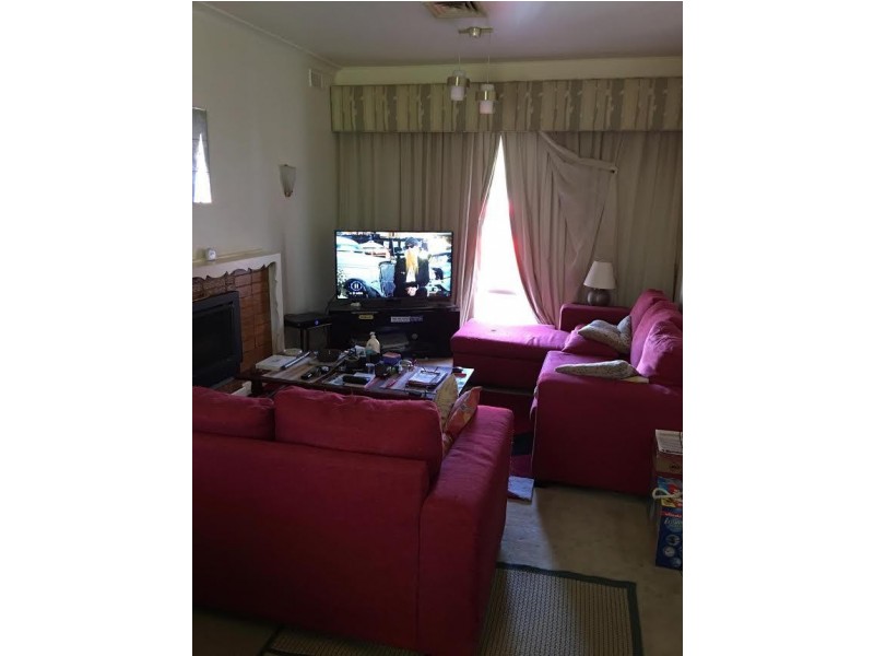 14 Windsor Avenue, Clearview SA 5085