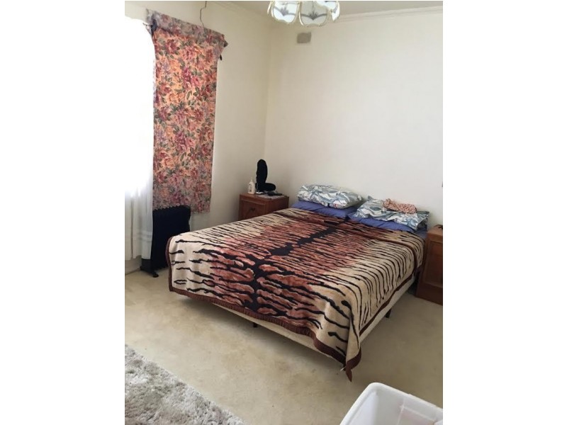 14 Windsor Avenue, Clearview SA 5085