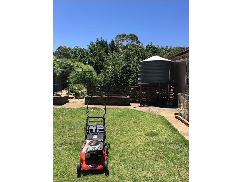 14 Windsor Avenue, Clearview SA 5085