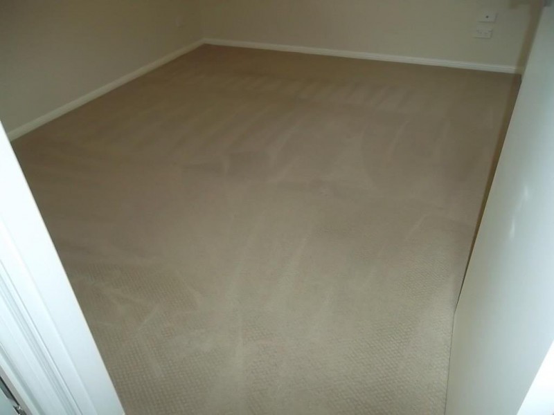 8 Ringtail Close, Doolandella QLD 4077