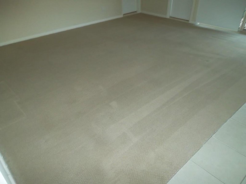 8 Ringtail Close, Doolandella QLD 4077