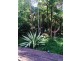 11 Bunjil Place, Byron Bay NSW 2481