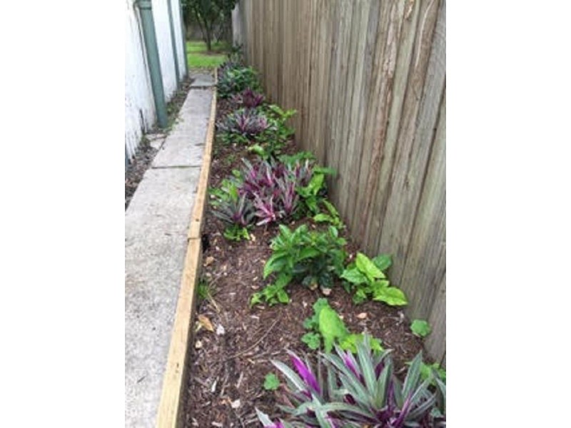 19 Fifth Avenue, Kedron QLD 4031