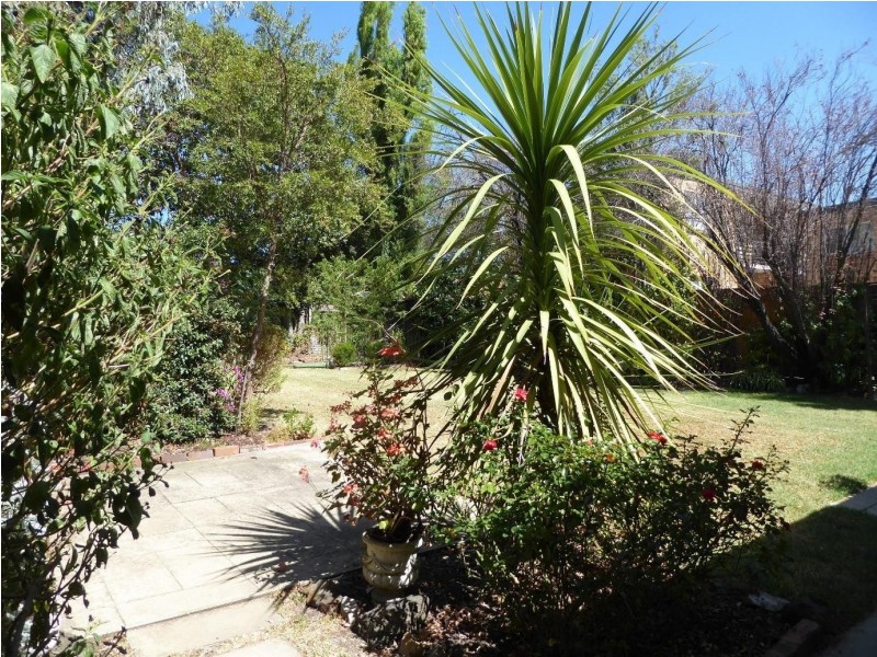 336 Riversdale Road, Hawthorn East VIC 3123