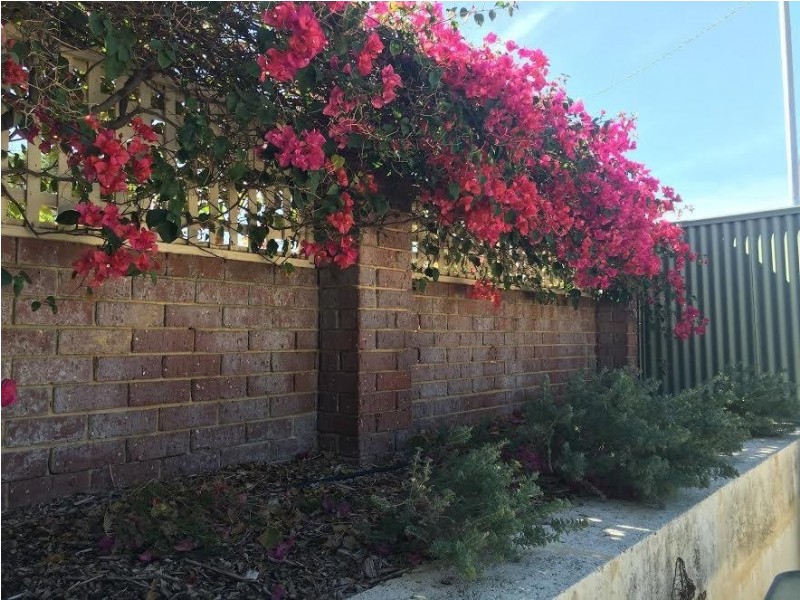 7 Wholley Street, Bayswater WA 6053