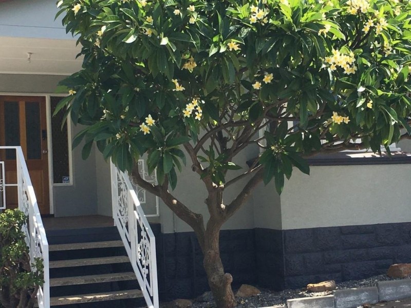 485 Stirling Highway, Cottesloe WA 6011