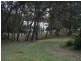 17 Dorothy Drive, Narooma NSW 2546