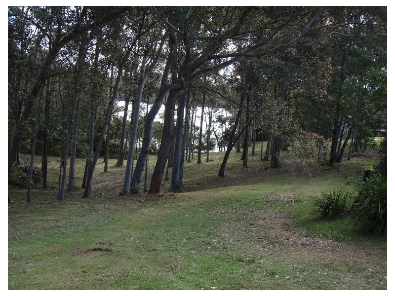17 Dorothy Drive, Narooma NSW 2546