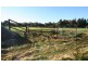 Lot 7 Sheridan Place, Waroona WA 6215