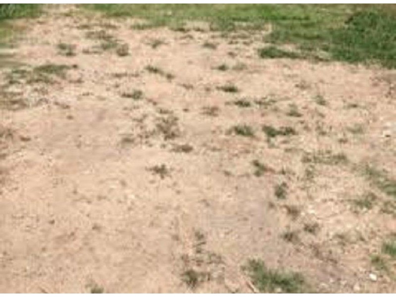 139 Henson Road, Salisbury QLD 4107