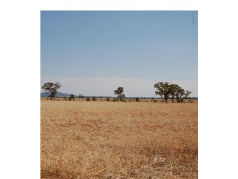 12 James Street, Binya NSW 2665