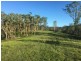 127 Appaloosa Drive, Conondale QLD 4552