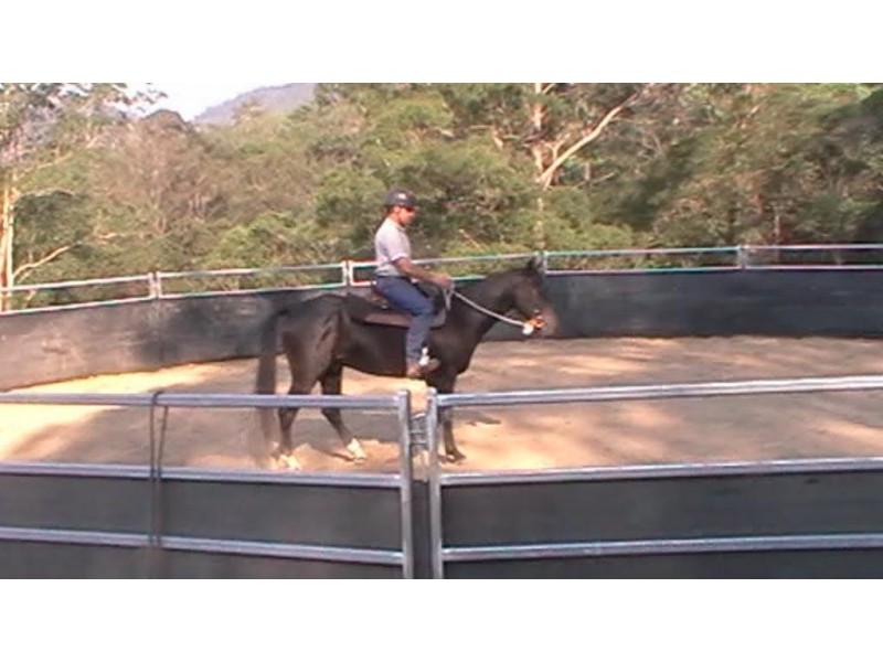 127 Appaloosa Drive, Conondale QLD 4552