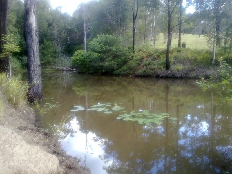 127 Appaloosa Drive, Conondale QLD 4552