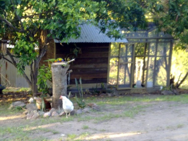 127 Appaloosa Drive, Conondale QLD 4552